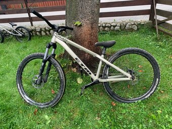 Ctm Dirt King expert 2019 - 5