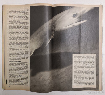 Interpress Magazin 1987 - 5