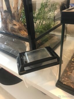 Predam terrarium kompletne - 5