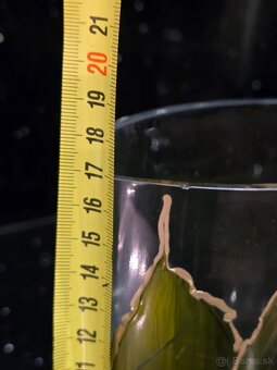 Ručne maľovaná váza - 5