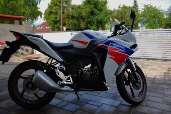 Predám Hondu CBR 125r - 5