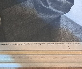 Obraz T.G.Masaryka - 5