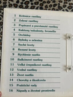 Izbové kvetiny od A do Z - 5