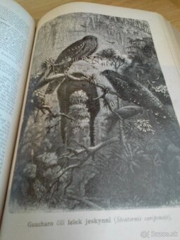 Ottův slovník náučný - diel 10 - 1896 - 5