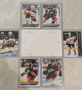 Anaheim Ducks - 5