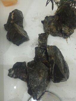 Ruším akvárium - 5