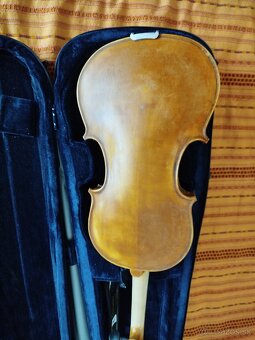 Viola - 5
