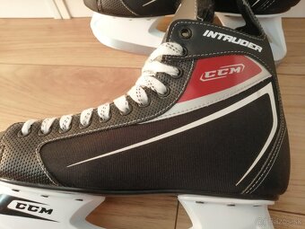 CCM - 5