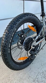 Scott Roxter 20” - 5