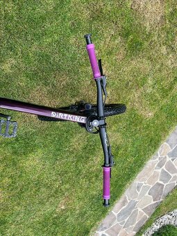 CTM Dirtking Xpert 2022 - 5