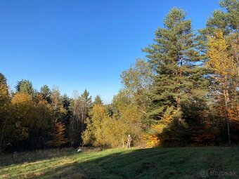 Predám pozemok (Mihaľov) - 5