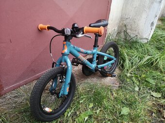 Scott Contessa 14 - 5