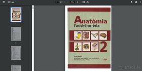 ANATÓMIA - študijné materiály - 5