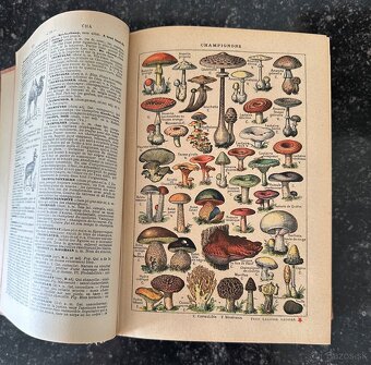 LAROUSSE (1927) - 5