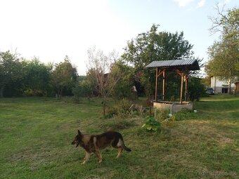 Predaj Rodinného Domu 4+1 - 5