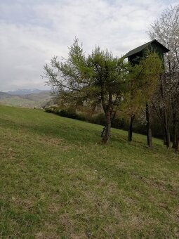slnecny pozemok-zahrada lopusne pazite - 5