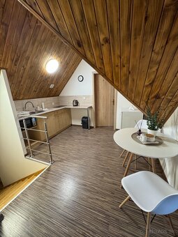 Ubytovanie Penzion Vitaneo - 5