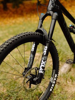 Canyon Spectral CF 29 - 5