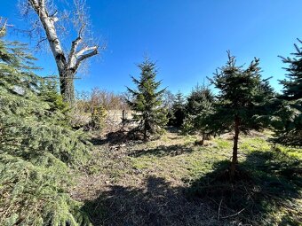 Na predaj | Stavebný pozemok 1398 m² - Topoľnica - 5