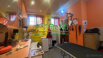 Odstúpenie - salónik - strihanie psíkov Sásová,Banská Bystri - 5