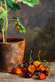 Zátišie s muškátmi, H.Friedrich, 375 × 615 mm - 5