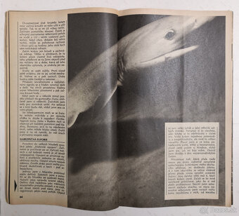 Interpress Magazin 1987 - 5