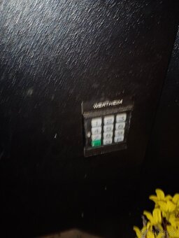 Wertheim trezor - 5