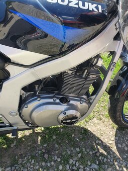 Predam suzuki gs 500 - 5