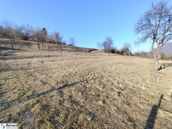 STAVEBNÉ POZEMKY, V. ŠARIŠ - KANAŠ, 4956 M2 - 6539 M2 - 5