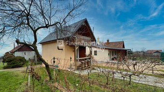 Chata s pivnicou a vinicou v krásnej oblasti Jelenec - 5