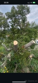 Výrub nebezpečných,rizikových stromov - 5