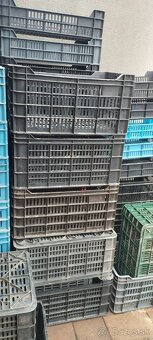 Predam plastove bednicky,prepravky - 5