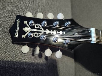 A-typ mandolína- celomasív - 5