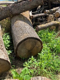 Dubovy pen=stol do exteriu - 5