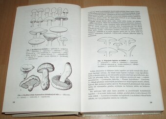 Huby lesov, polí a lúk - 5