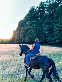 Frizsky valach s PP - 5