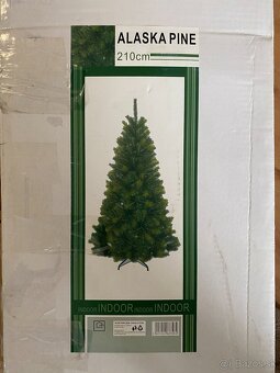 Alpská borovica - vianočný stromček - 5