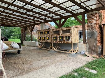 Zajačnik kralikaren - 5