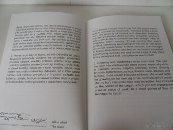 Rôzne knihy pre deti a mládež - 5