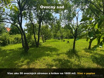 Rodinný dom s veľkým pozemkom - 20 min. od Košíc - 5