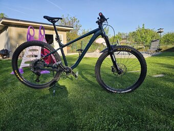 Predam hardtail - 5