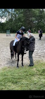 KRÁSNÁ KOBYLKA DO PONY SPORTU - možnost i na MČR - 5