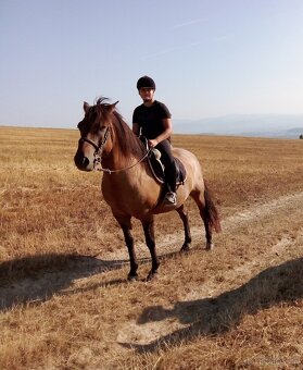 Jazdenie na koňoch - 5