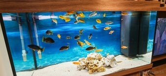 Predám komplet akvarium - 5