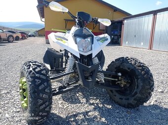 Mad max 250 ccm 2022 - 5