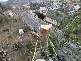 Výrub stromov a rizikové pílenie - 5