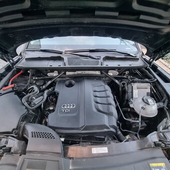Predam Q5 2019 - 5