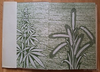 Jiri Horak & Karel Plicka - Zbojnicke piesne slovenskeho lud - 5