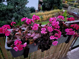 Predám exkluzívny 4 izb.byt,100 m2,loggie 2,záhrada,Podhrado - 5