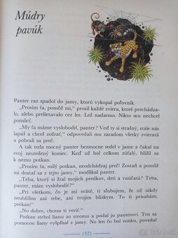 Lev a zajac (Anne Geelhaarová) - 5